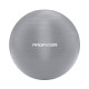 М'яч для фітнесу Ironbull Fit Ball 65 см (Silver)